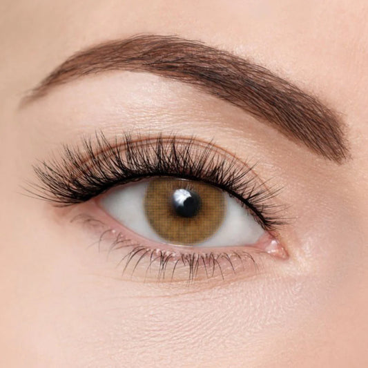 Close-up of a brown eye with comfort soft lens at Maqbool store