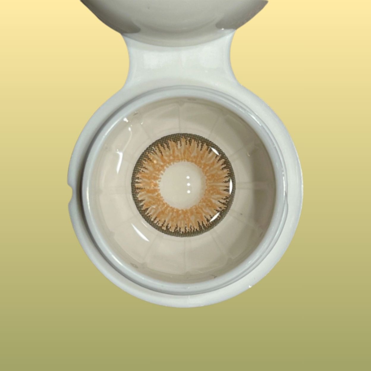 Brown contact lens in a white case on a beige background at best price online sale in Pakistan