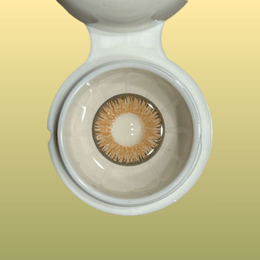 Brown contact lens in a white case on a beige background at best price online sale in Pakistan
