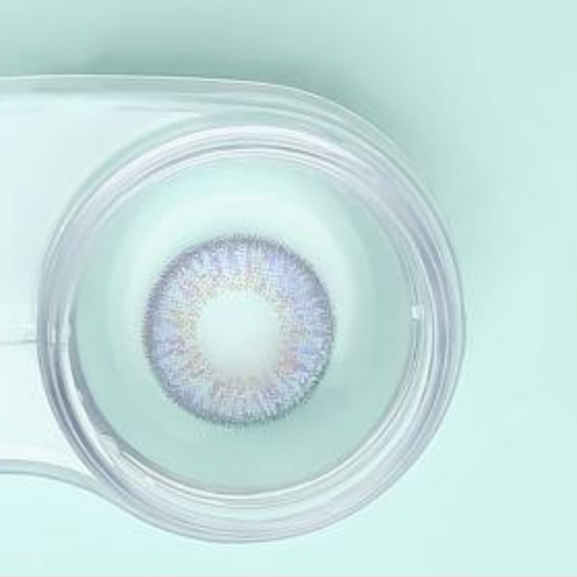 Multicolored contact lens in a clear case on a light green background